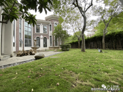 <b>当前疫情下价值更是飙升</b>